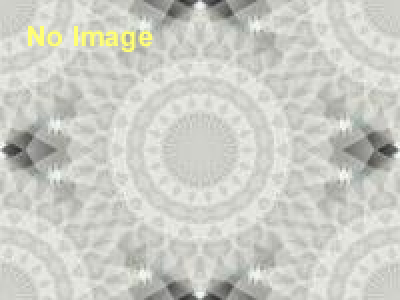 キョータン少年探偵団～ガラシャの不思議な指輪～