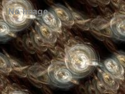 モンスターを探せ!!　ピラネージからゴヤ、そしてエルンストへ