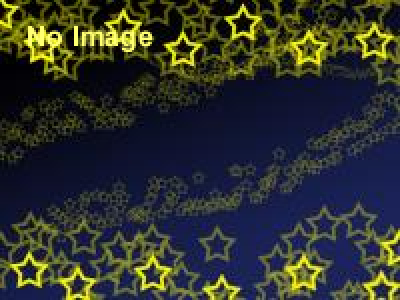 伊賀上野NINJAフェスタin上野恩賜公園（2014）