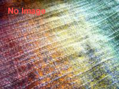 「OPA! 陽気な黙示録」凱旋展