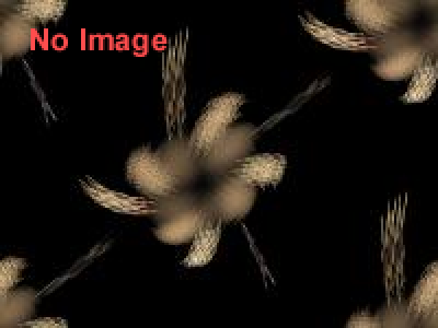 美術する身体－ピカソ、マティス、ウォーホル