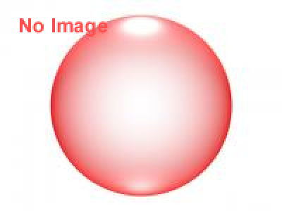 宝探し！！GOGOGO!　別府市に隠されたドクロストーンを探し出せ！