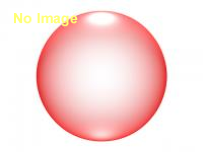 ママチャリWGP（ワールドグランプリ）夏 