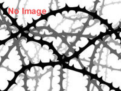 Welcome CASINO NIGHT in LPO vol.2