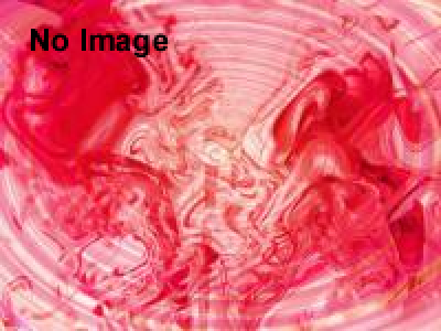 世界のヒョウタン展―人類の原器―