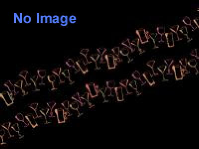 沼田学個展 「界面をなぞる2」 