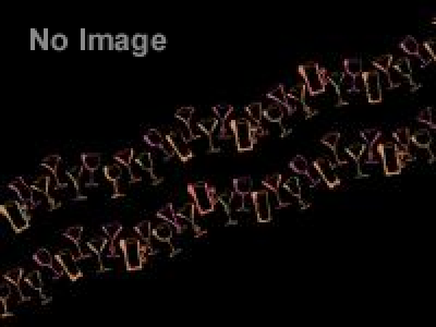 リアル体感型脱出ゲーム「仁義なき屋敷からの脱出」