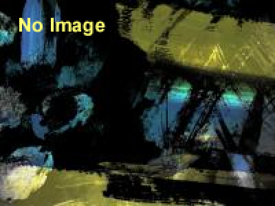 琳派400年記念 琳派からの道 神坂雪佳と山本太郎の仕事