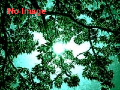 下町アート動物園2014