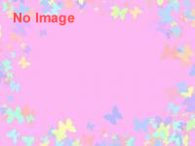AZAMI –顔のないポートレイト-