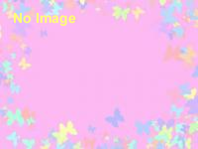 星を賣る店　クラフト・エヴィング商會のおかしな展覧会