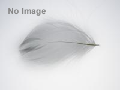 日隈愛香展「虚白」－KYOHAKU－