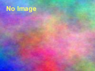 たいけん、ぼうけん、びじゅつかん