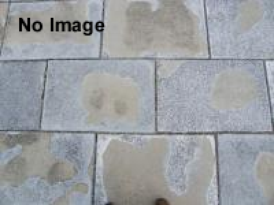 大島てるがやって来る!! 事故物件ナイトvol.7