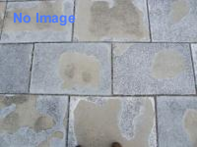 帝國大學を踏んでみよう