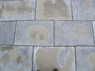 よっぱらい天国より