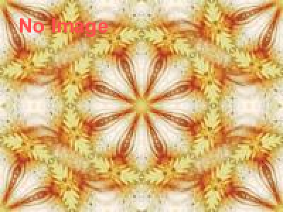 アンテナショップフェスティバル2014