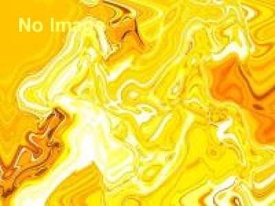 泉佐野商店街 歳末大売り出し 小判つかみどり・現金すくいどり大会