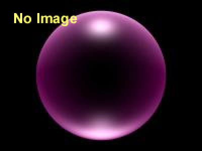 ranbu企画展「注文の多い文具展」 （2017）