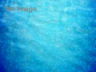 タヒチサンライズ 2015 in Beach House EDEN（神奈川）