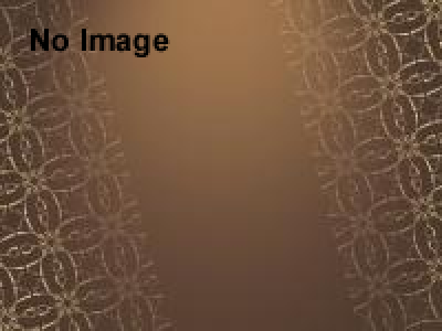 ワンダの冒険in横須賀市衣笠