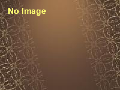 チョコレート展（大阪）