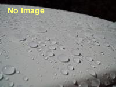 原真一 「トロリ」