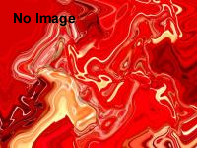 MOTTAINAIフェスタ2015in秋葉原UDX 