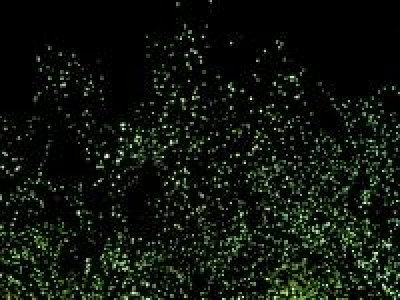 『ほんとにあった実録犯罪映画傑作選』