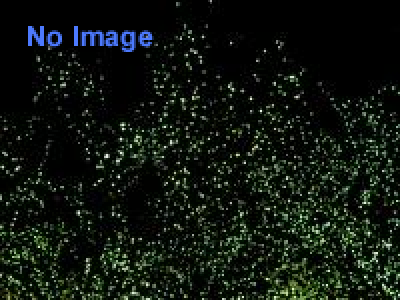 妖怪絵馬展わあくしょっぷ 