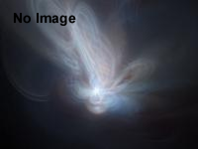 霜焼きトマト特別企画　エクストリーム流しそうめん（横浜）