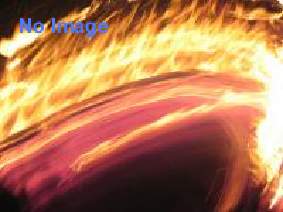 閃光ライオット2014