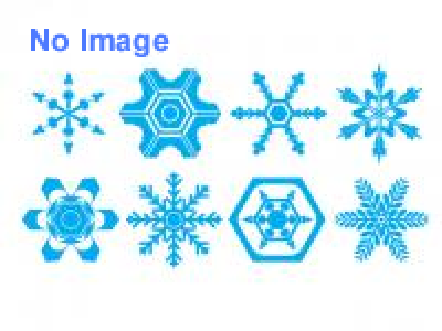 第65回なよろ雪質日本一フェスティバル