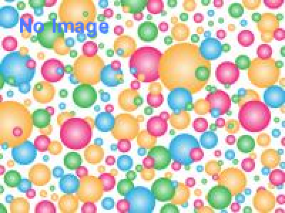 ウィングス・フォー・ライフ・ワールドラン(Wings for Life World Run Japan 2015)