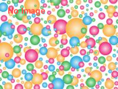 気になる！大好き！これなぁに！赤ちゃんたちのセレクション