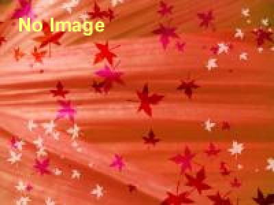 でらシャス！名古屋VSおぃしい！広島