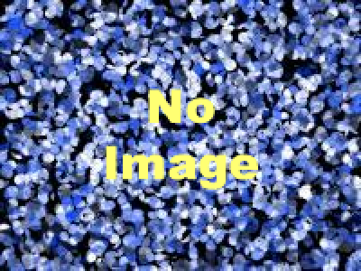 第3回横浜開港アンデパンダン展