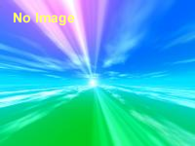 サイクリングしまなみ２０１３