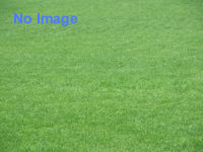 エルム博士と黄金虫のナゾ