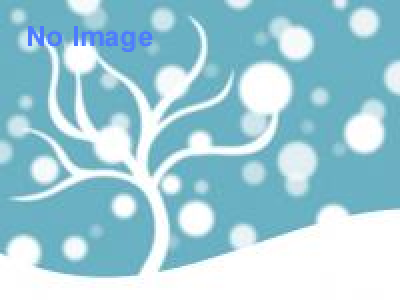 スノイル＆ワルイルと遊ぼう！宝さがしゲーム