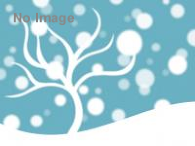 特別展　マンモス「ＹＵＫＡ」