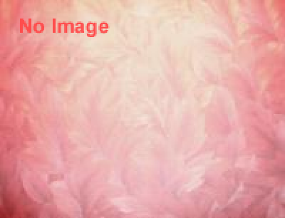 東京食肉市場まつり2014