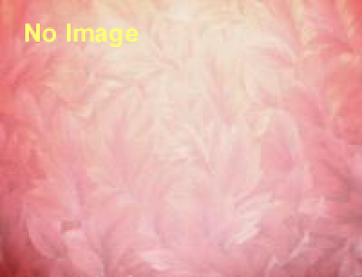 デビュー30周年記念 さくらももこの世界展