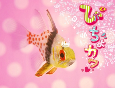 【特別展】ぴちょぴちょカワイイ展  