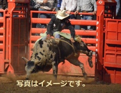 カルガリースタンピード（Calgary Stampede）：カナダ