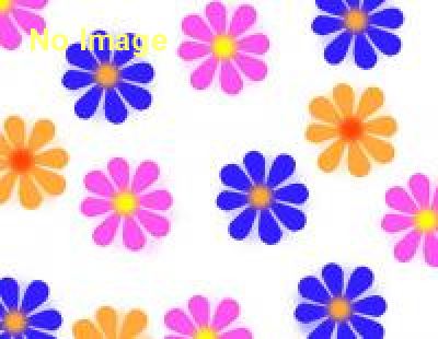 Jump in! 八ヶ岳 2014ガールズキャンプ