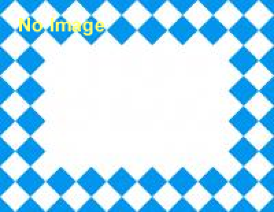 埼玉フェスタ2013