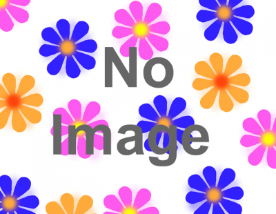 「CAMERAND 横浜ガールズフォトフェスタ2013」　