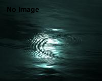 占いヒーリングカフェ×神社 神々の森神社　「本当の初詣」