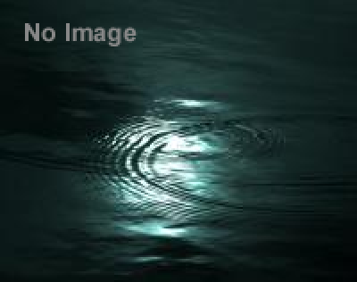 時代小説展 闇の世界